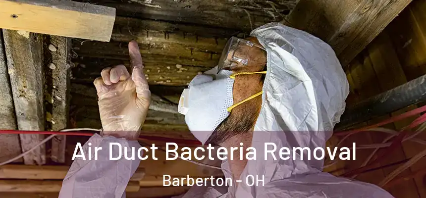  Air Duct Bacteria Removal Barberton - OH