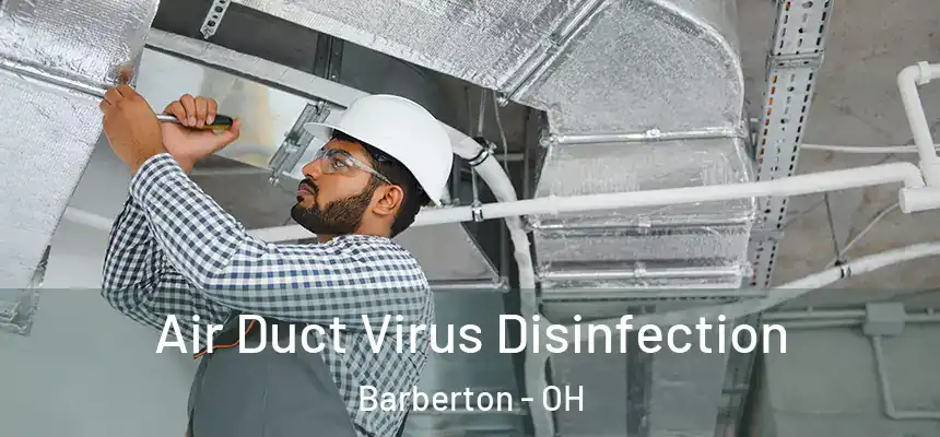  Air Duct Virus Disinfection Barberton - OH