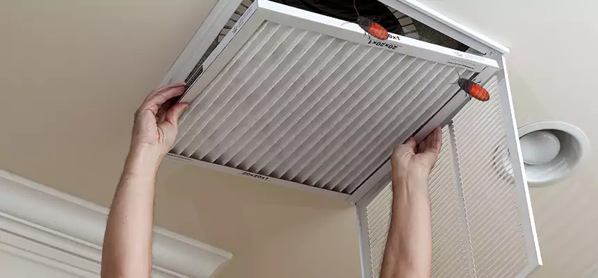 Preventive Cockroach-Proofing for Ducts in Barberton