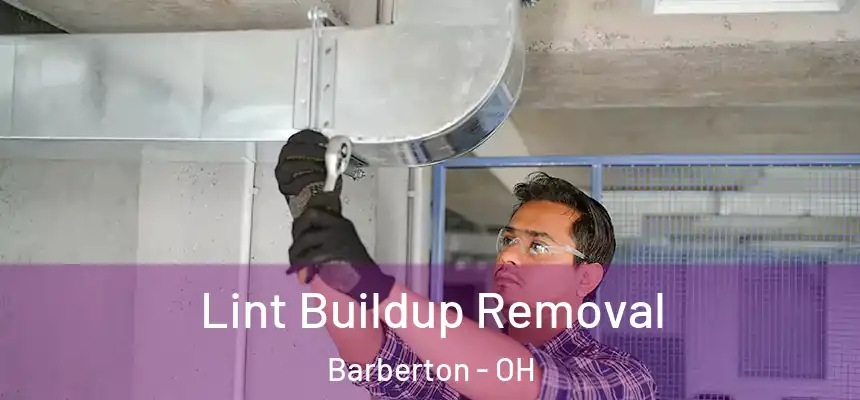 Lint Buildup Removal Barberton - OH