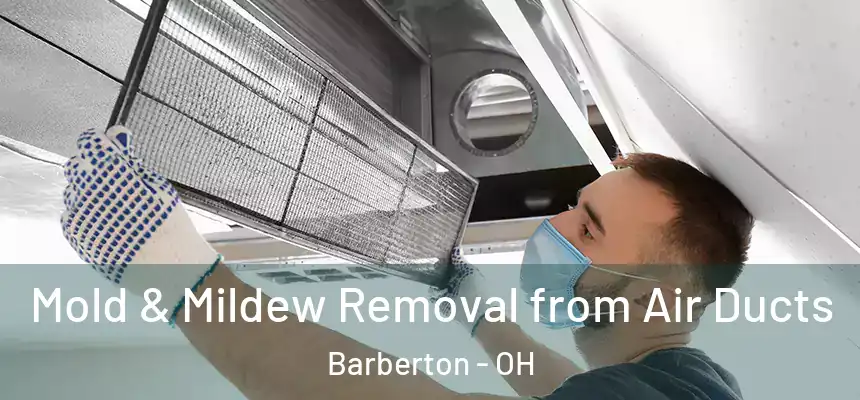Mold & Mildew Removal from Air Ducts Barberton - OH