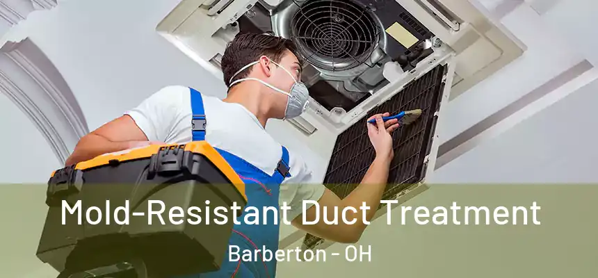  Mold-Resistant Duct Treatment Barberton - OH