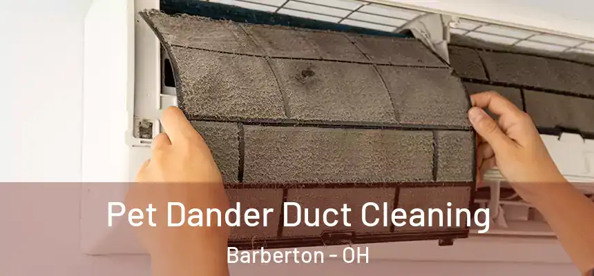  Pet Dander Duct Cleaning Barberton - OH