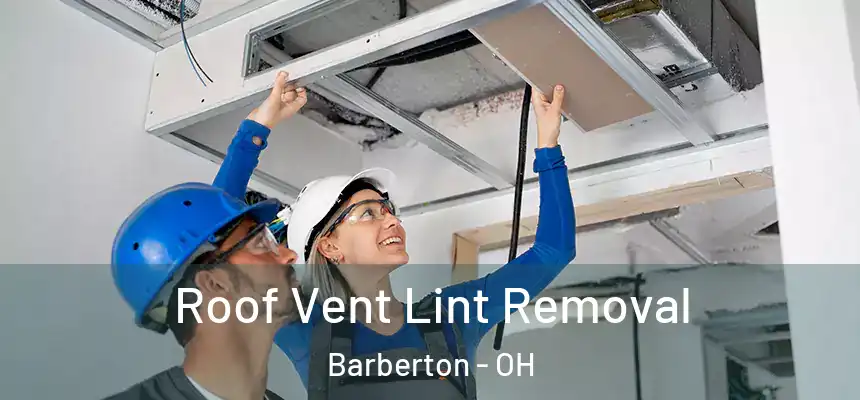 Roof Vent Lint Removal Barberton - OH