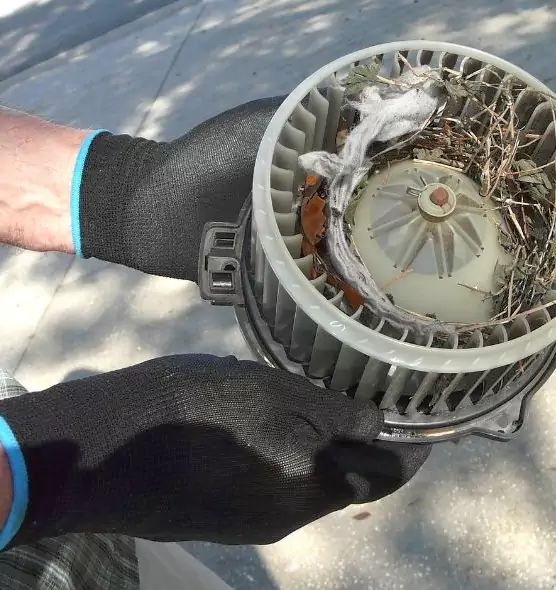 About Air Duct Rat Removal in Barberton, OH