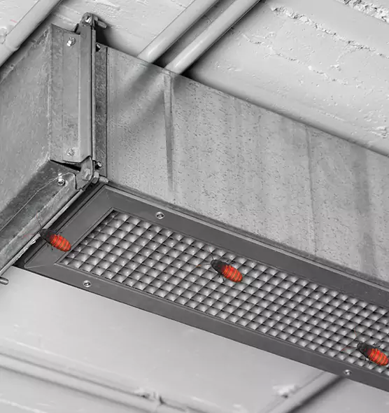 Affordable Insect Removal from Air Ducts in Barberton, OH