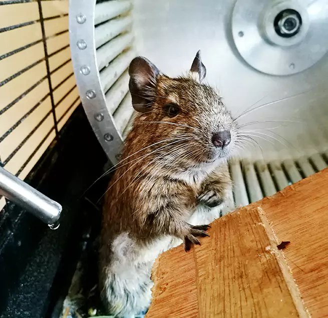 Why Homeowners & Businesses Trust Us Barberton, OH